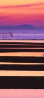 ゴリの画像