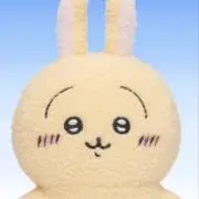 スライス☆即購入⭕️の画像