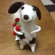 tam