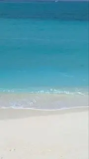来夢の画像