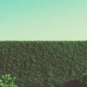 riiinの画像