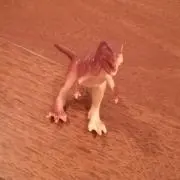 ちっか