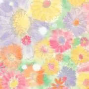 華