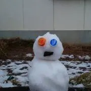 まふぃの画像