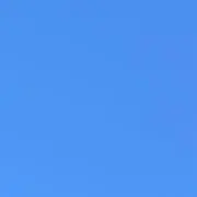 はち