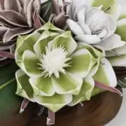 Neeの画像