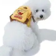 ちなこ