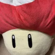 ⭐︎ちびうさの画像