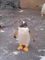 M ただいま断捨離中の画像