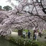 えーちゃん  ！の画像