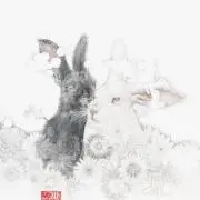 月夜美