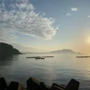 魚の画像
