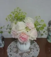 リナリア