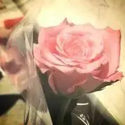 ☆プロフ確の画像