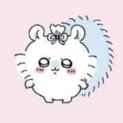 かじゅまの画像