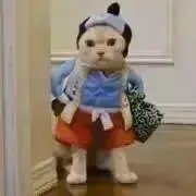ももたろう（断捨離中）の画像