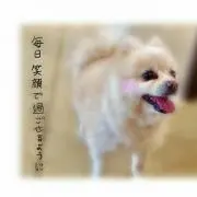 毎日笑顔で過ごせるように幸せな毎日を