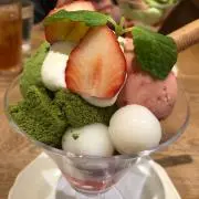 あんずの画像