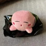 とかげ。の画像