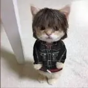 atticus奴隷の画像