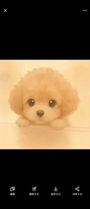Tyの画像