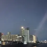 みーこ
