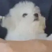 むー☾の画像
