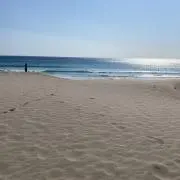 こてつのフリーマーケットの画像