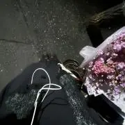 らびの画像
