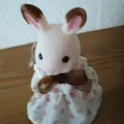 花ちゃんの画像