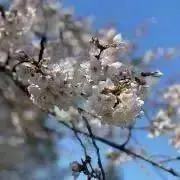 e_iiiiiの画像