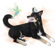 Lの画像