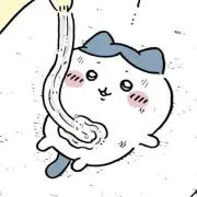 まりもの画像