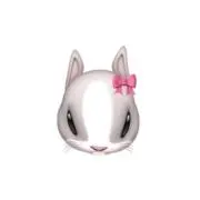 N.Kの画像