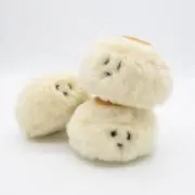 nicon プロフ必読 まとめ割引OK