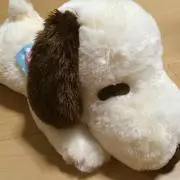 がわの画像