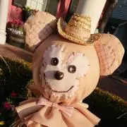 ☆yuki★の画像