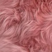 riverriverの画像