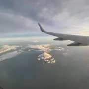 ルーキーの画像