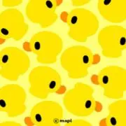 ahiruの画像