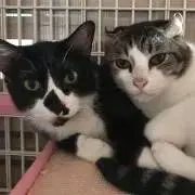 まい☆プロフ必読