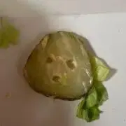 ジプシー