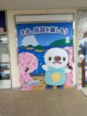 jellyfishの画像