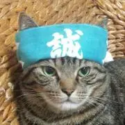 ゆいちゃの画像