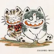 ポコの画像