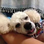 rnの画像