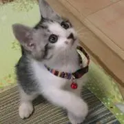 onmitsunanaの画像