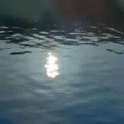 myjiの画像