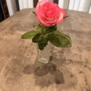 ゆほの画像