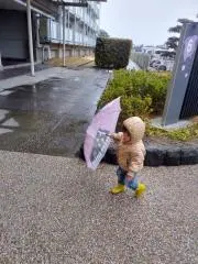 よしとみの画像
